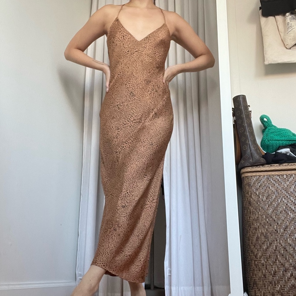 Aritzia Babaton cheetah print slip maxi dress